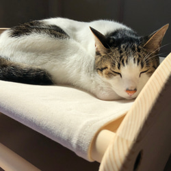 猫のハンモック・ベッド　帆布・パイン材　きばた・無塗装　CA 1枚目の画像