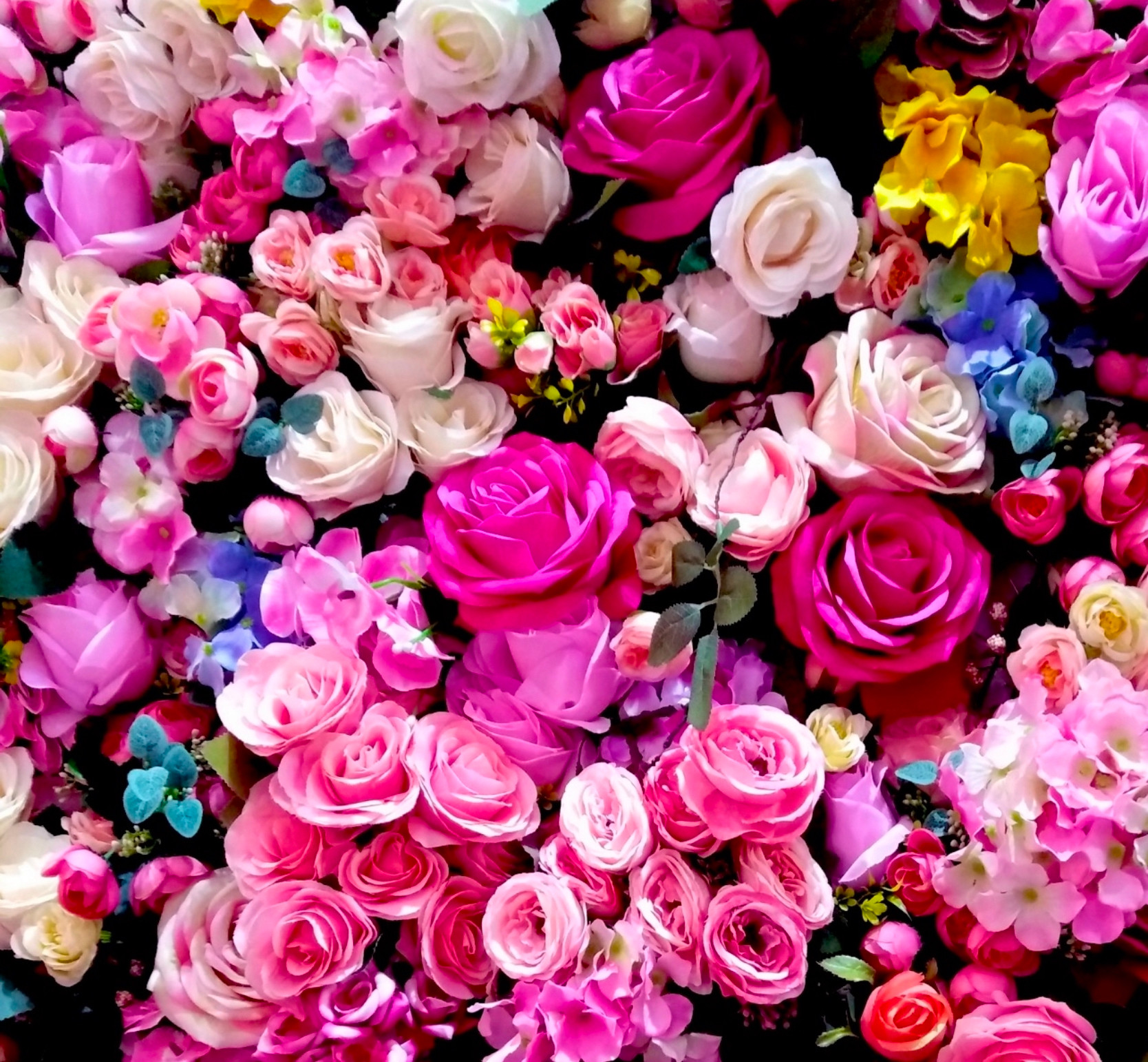 【インド伝統抽出法】インド産ローズアター精油10ml