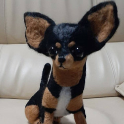 羊毛フェルト チャウチャウ犬 羊毛フェルト Kingこうた 通販