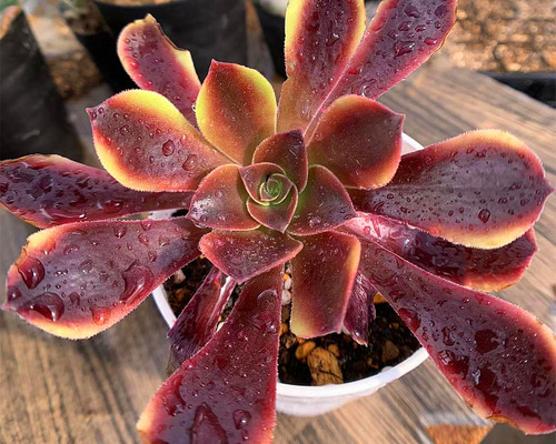 c75ce33a211af2395dabd72c3fe10c