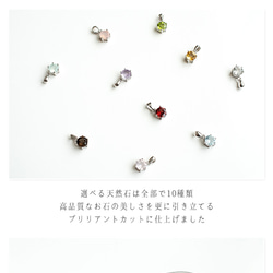 10種のファセットカット天然石×Silver925枠留め×ロジウムチェーンのネックレス e-340 直径6mm 2枚目の画像