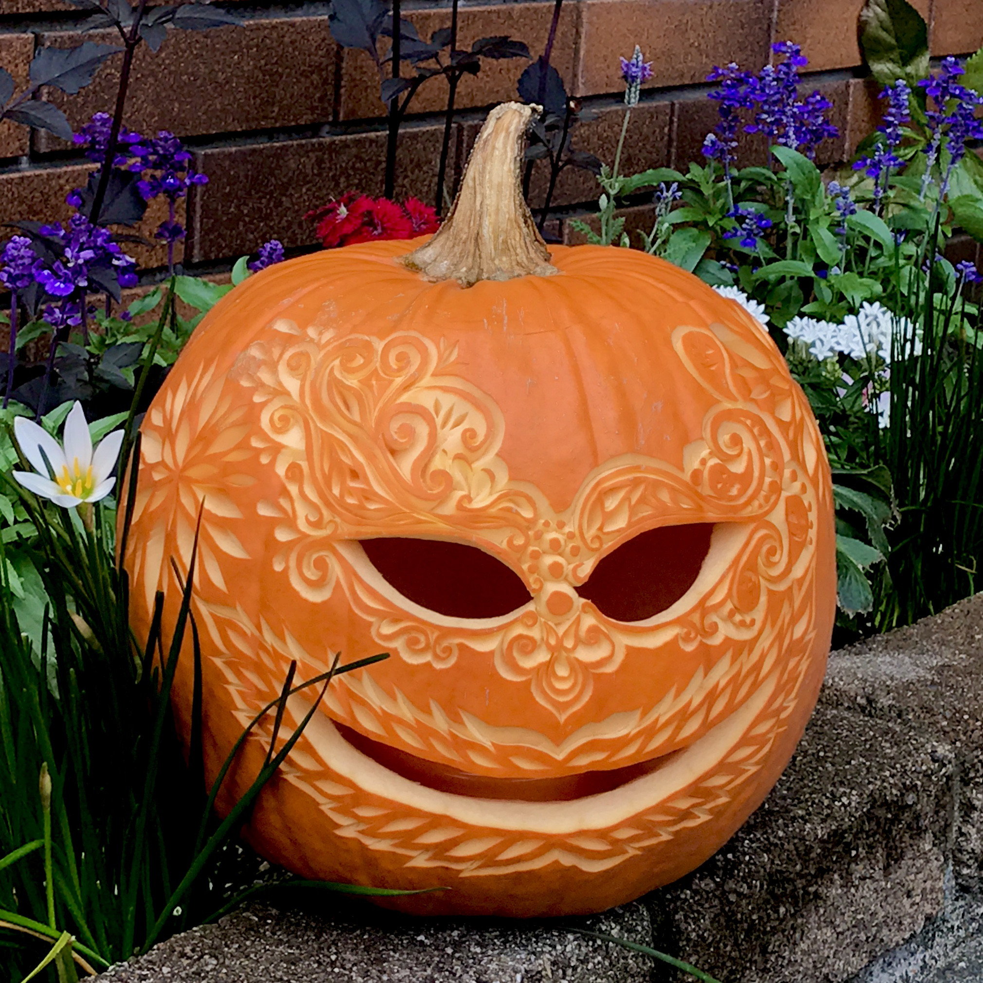 ハロウィンかぼちゃ、ジャック・オー・ランタン大２個（本物） 2024-11 楽天市場】ジャックオーランタン かぼちゃ ハロウィンかぼちゃ