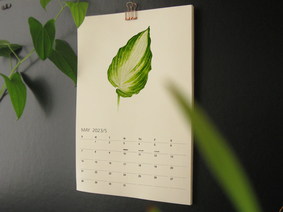 植物的靜默 2023年曆月曆掛曆 給植物愛好者的治癒新年禮物1 第2張的照片