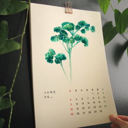Herbal Tea 2023月曆 掛曆 給植物愛好者的新年禮物 5 第1張的照片