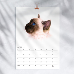 2023 猫 カレンダー　【壁掛け　A3 A4 サイズ  水彩画】 3枚目の画像