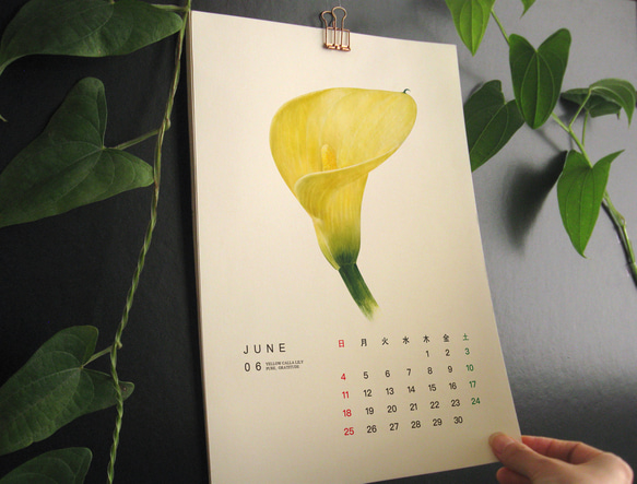 2023 花言葉 カレンダー　【壁掛け　A3 A4 サイズ  水彩画】 1枚目の画像