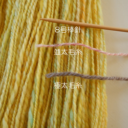 tenna + 手つむぎ毛糸  手紡ぎ糸 毛糸 メリノウール  黄色 約80g #1430 6枚目の画像