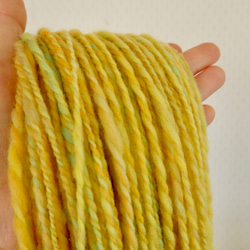 tenna + 手つむぎ毛糸  手紡ぎ糸 毛糸 メリノウール  黄色 約80g #1430 2枚目の画像