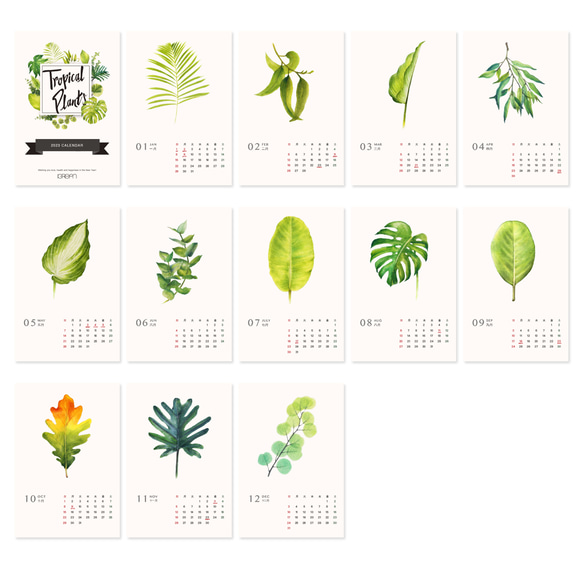 2023桌曆 清新手繪植物插畫行事曆 台灣香港假期 交換禮物1 第7張的照片