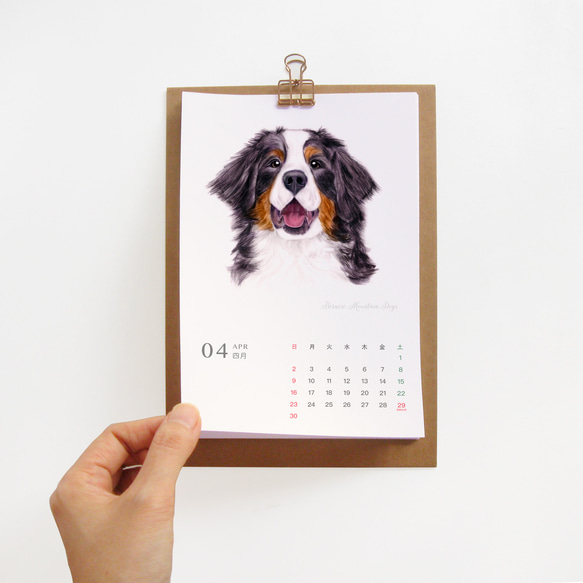 2023年曆桌曆 旺醬狗狗插畫年曆 新年聖誕節禮物 7 第6張的照片