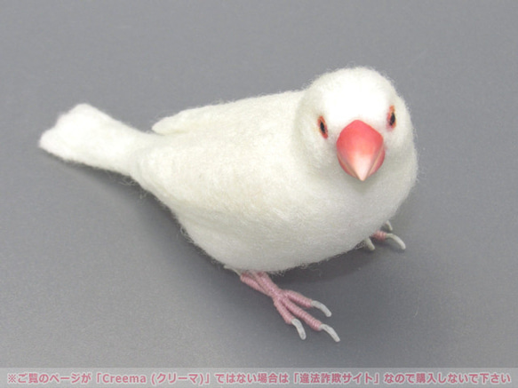 本トリ No.92 白文鳥 ６号 / 羊毛フェルト リアルサイズ 5枚目の画像