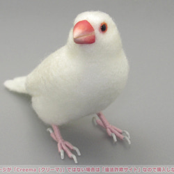 本トリ No.92 白文鳥 ６号 / 羊毛フェルト リアルサイズ 2枚目の画像