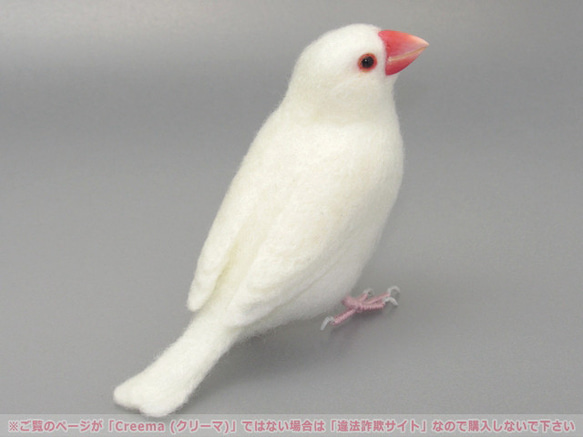 本トリ No.92 白文鳥 ６号 / 羊毛フェルト リアルサイズ 3枚目の画像