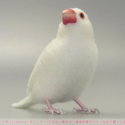 本トリ No.92 白文鳥 ６号 / 羊毛フェルト リアルサイズ 4枚目の画像