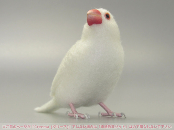 本トリ No.92 白文鳥 ６号 / 羊毛フェルト リアルサイズ 4枚目の画像