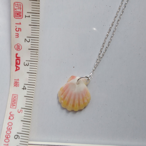 ハワイ サンライズ シェル ペンダントトップ Sunrise Shell SV925 023