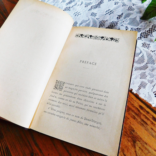 ゜+ 1894年 背表紙が素敵なフランスの古書 アンティークブック