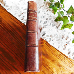 white 洋書 book フランスアンティーク イギリスアンティーク white 洋書 book フランスアンティーク イギリスアンティーク