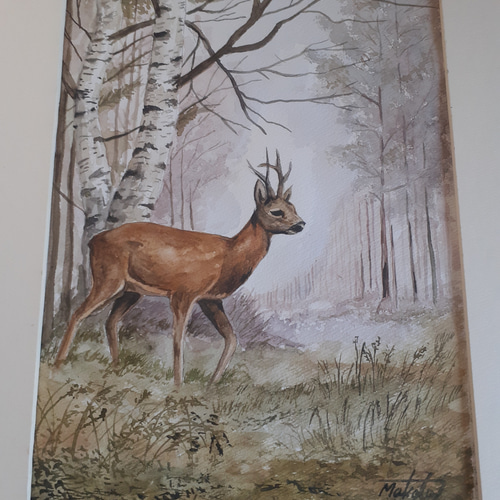 「高評価！」注目のレビュ 水彩画 白樺林に鹿 絵画 makochin 通販 14696122｜Creema(クリーマ) 絵画