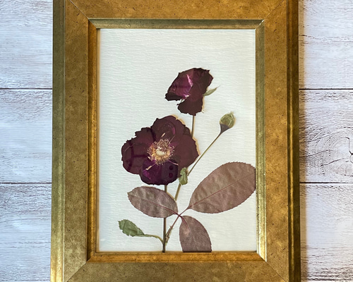 f51a41ef5fe427ae76559b62b7f0c2