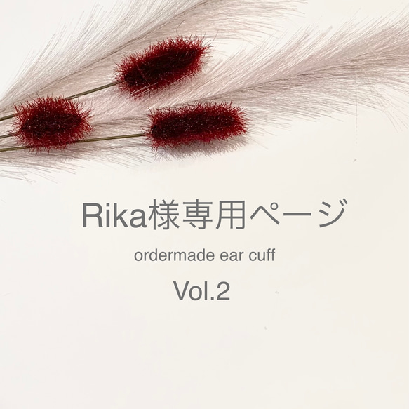 Rika様専用ページ　Vol.2 1枚目の画像