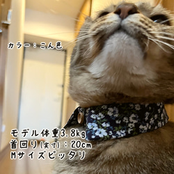 猫首輪　襟　花柄シャツ風　黄色　綿100％ 14枚目の画像