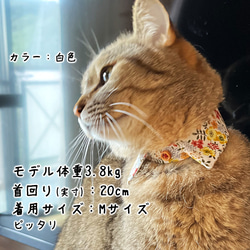 猫首輪　襟　花柄シャツ風　黄色　綿100％ 10枚目の画像