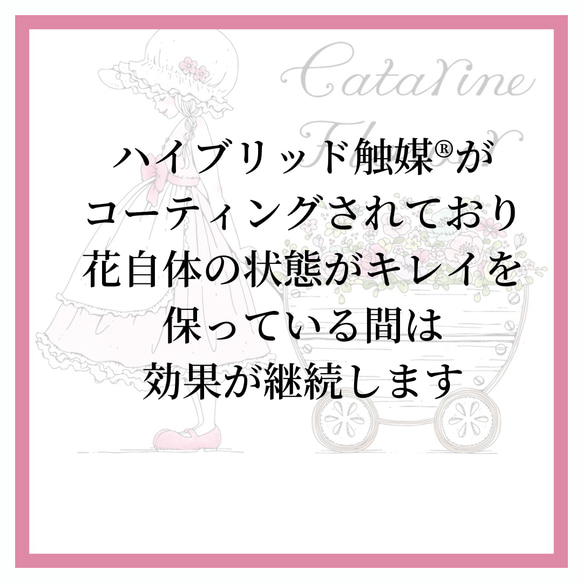 バラとラナンキュラスのロマンティックバトン　ギフト 誕生日 お祝い 母の日 結婚祝    カタリーヌフラワー 14枚目の画像