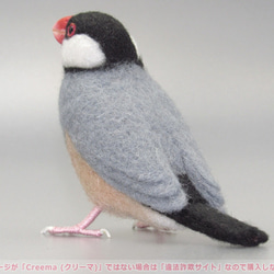 本トリ No.94 桜文鳥 12号 / 羊毛フェルト リアルサイズ 3枚目の画像