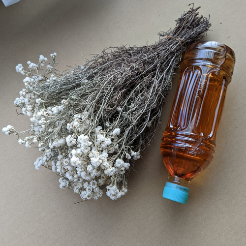カワラハハコ ドライフラワー 50g 雄花 ドライフラワー Fine