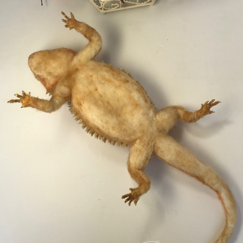 羊毛フェルト☆フトアゴヒゲトカゲdeux 羊毛フェルト ペトラ119 通販