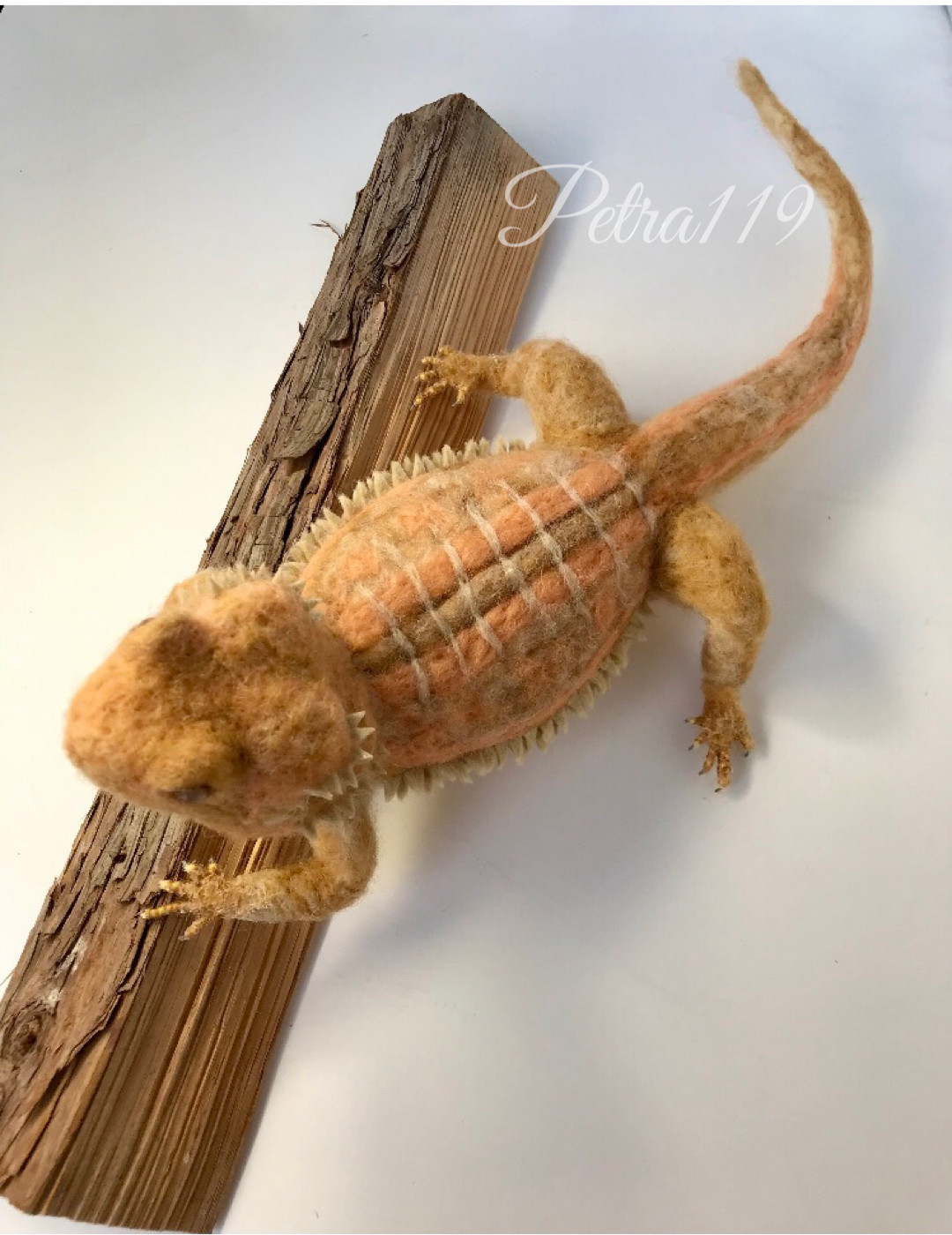 羊毛フェルト フトアゴヒゲトカゲdeux 羊毛フェルト ペトラ119