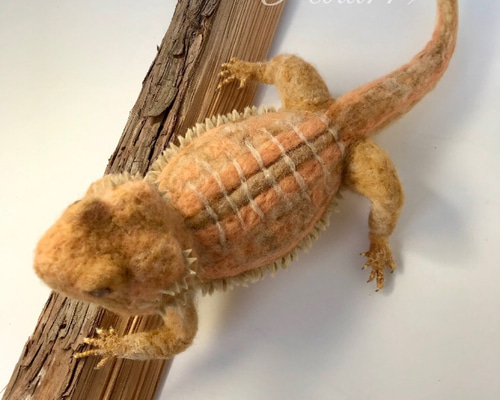 メール便対応！ フトアゴヒゲトカゲの置物3 | vendee-rehaussement.com