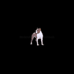 振り向くピットブル　刺繍ワッペン　犬ワッペン　 9枚目の画像