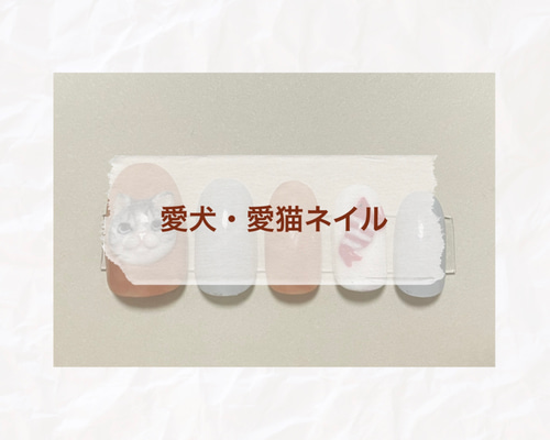 ネイリスト猫 Cat claw nail 😺💅 Design series that I will never do