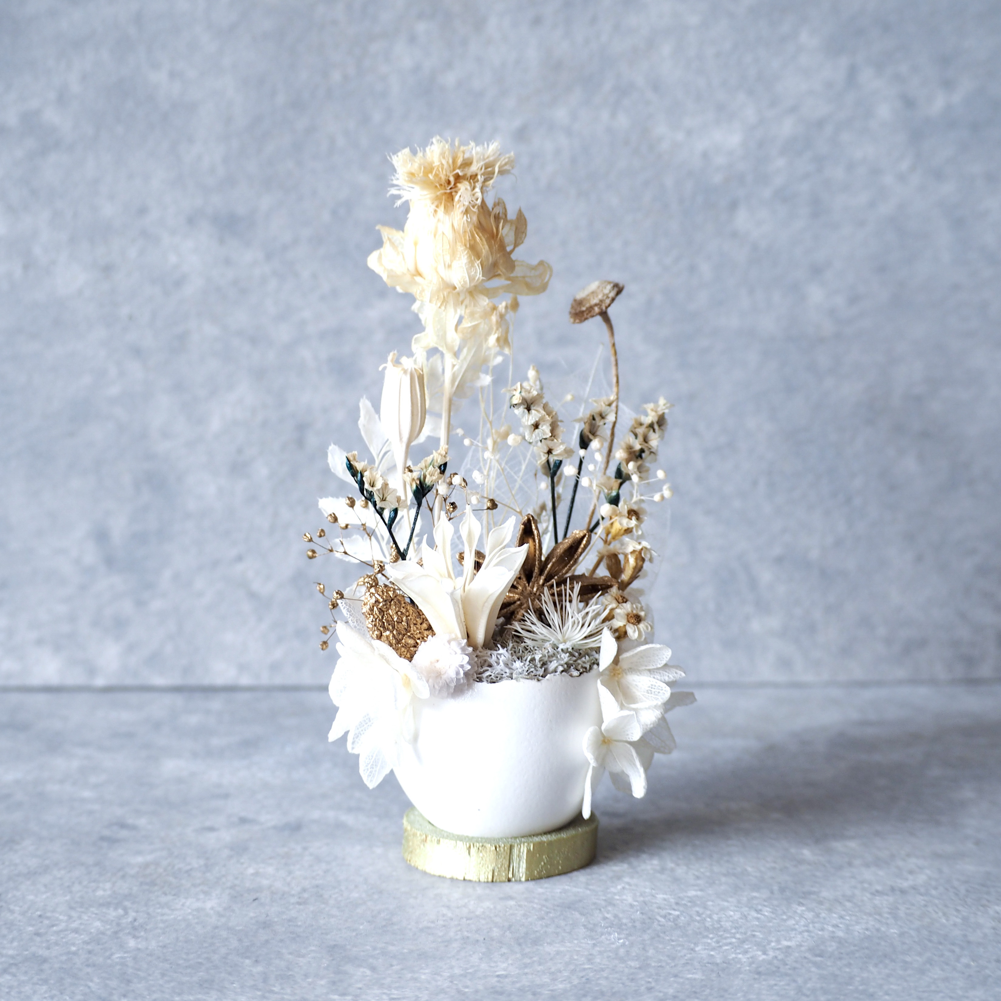 卵に眠る箱庭『白い雲の森』