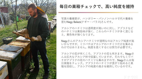 クリスマスに最適　純度抜群・Nagyさんのアカシアハチミツ　250グラム入り2個セット 3枚目の画像