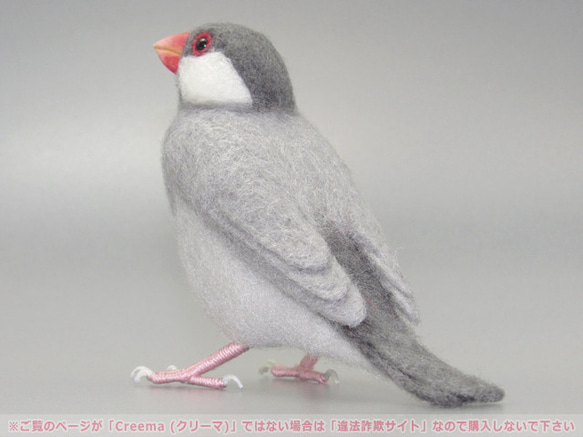 本トリ No.96 シルバー文鳥 ３号 / 羊毛フェルト リアルサイズ 3枚目の画像