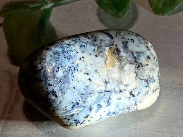 デンドリディック アゲート✨瑪瑙　忍草　原石　タンブル 2枚目の画像