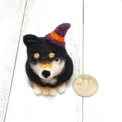 ハロウィン帽子をかぶった まんまる黒柴犬 羊毛フェルト 犬 4枚目の画像