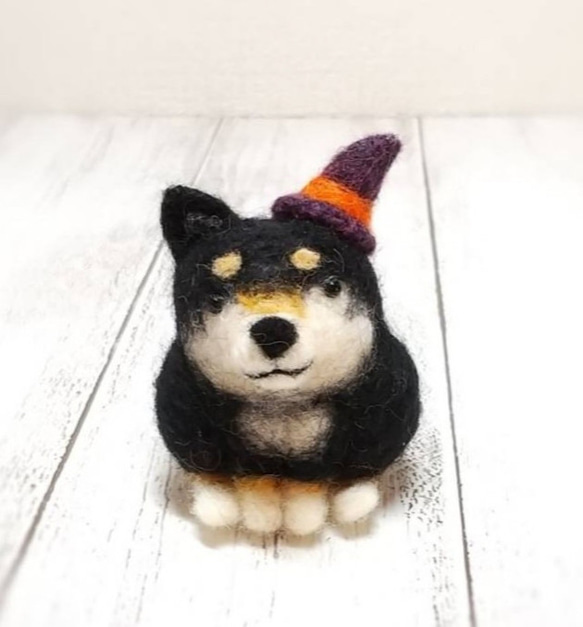 ハロウィン帽子をかぶった まんまる黒柴犬 羊毛フェルト 犬 羊毛 