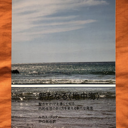 ロザリ屋 イエス・キリストの教え （カトリック要理）著：尾崎明夫