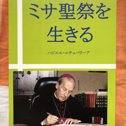 ロザリ屋 イエス・キリストの教え （カトリック要理）著：尾崎