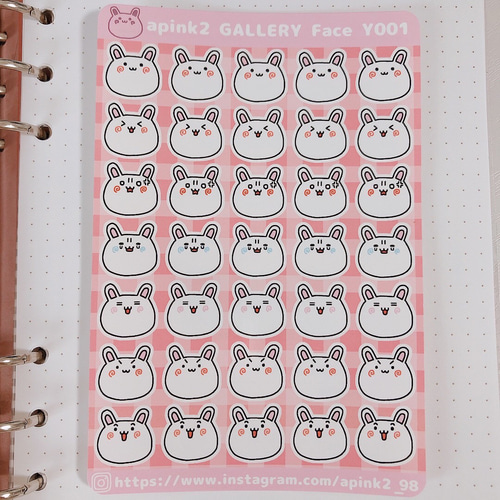 apink2 GALLERY face Y001 うさぎさんの表情シールシート シール