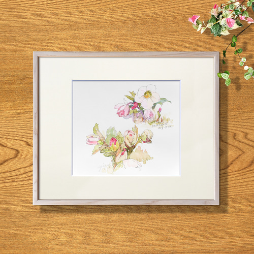 クリスマスローズ-2】額縁付き スケッチ原画 一点物 特典付き 絵画