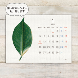 パンカレンダー2026【A5サイズ】 20枚目の画像