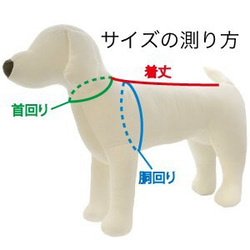 犬服　うさぎ　タンクトップフードパーカー　2023年　干支　（受注制作） 8枚目の画像