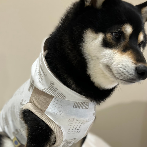 専用☆ハンドメイド 犬服 カップケーキ柄&ドットニット タンク② 訳あり 犬