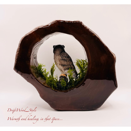 流木　鷹　レジン加工済み 置物 流木 鷹 レジン加工済み 置物 【公式通販】
