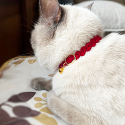 軽くてやわらかい手編みの猫首輪＊ワインレッドのウェーブライン〜子猫・初めての首輪にも〜 5枚目の画像